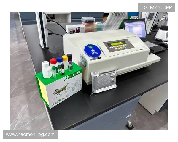 探索fun88官网备用网址的安全性与可靠性分析 探索fun88官网备用网址的安全性与可靠性分析